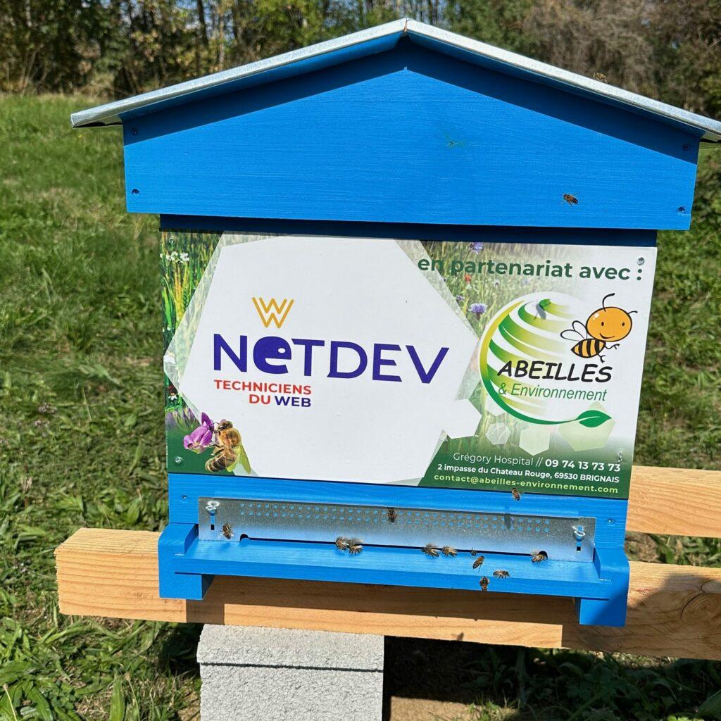 Ruche de netdev